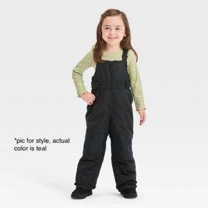 Cat & Jack snow bib/overalls | 18M